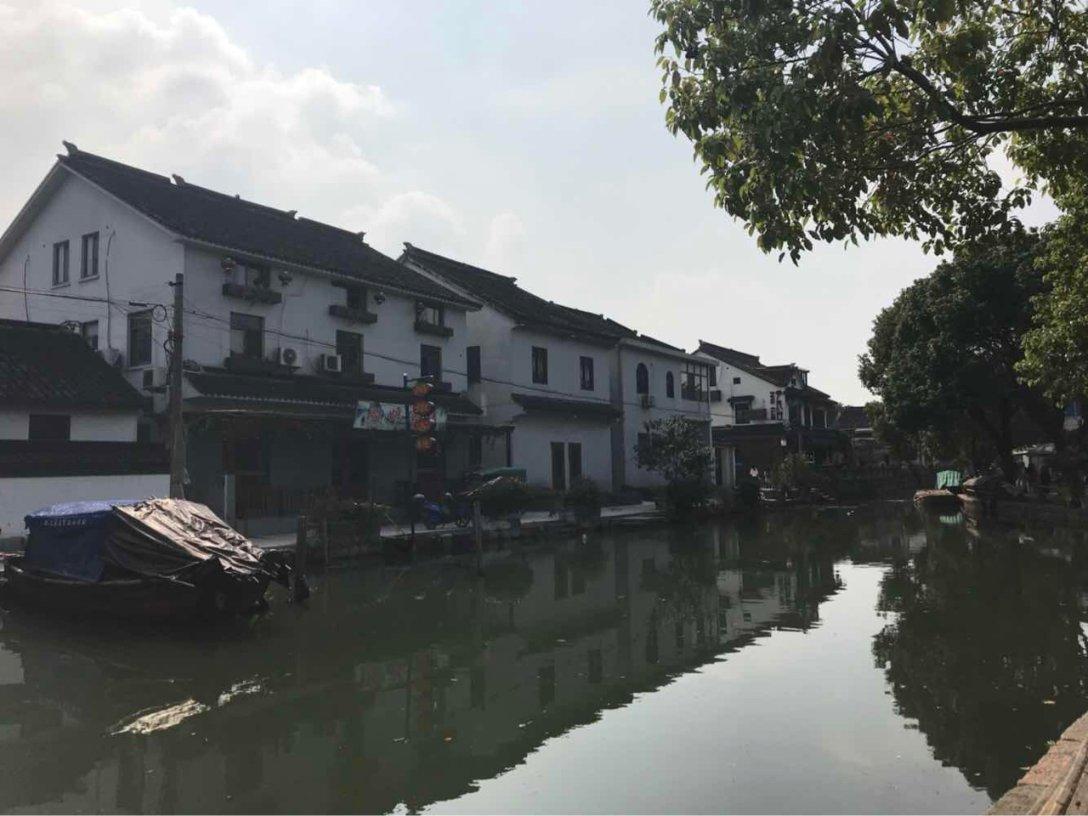 拯救树精灵
